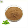 The Best Lemon Balm Extract Melissa Officinalis Extract